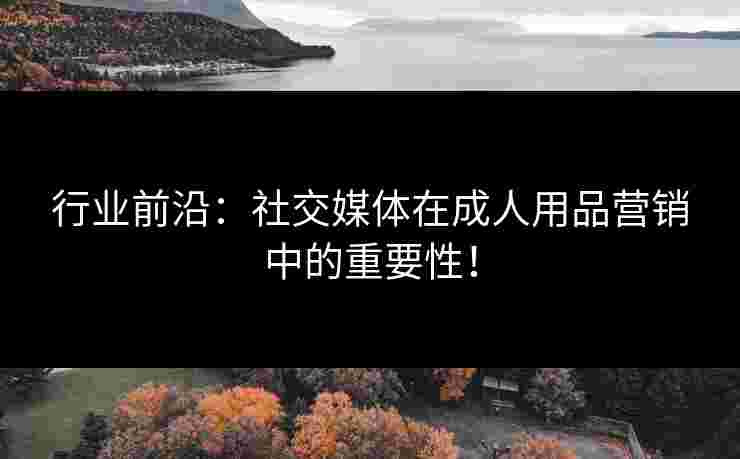 行业前沿：社交媒体在成人用品营销中的重要性！